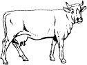 раскраски корова