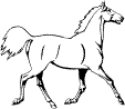 раскраска лошадь